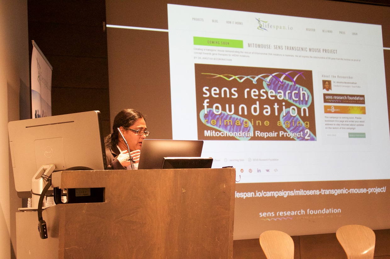 Ending Age-Related Diseases: 2019
