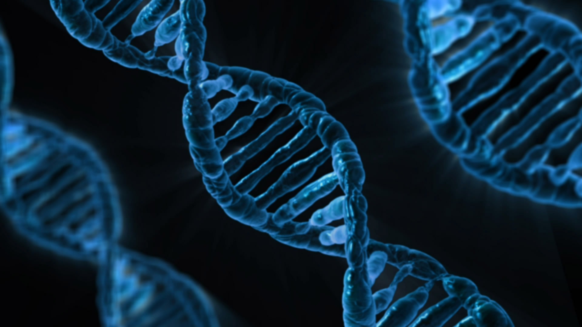 Alzheimer’s disease drugs promote neurogenesis.