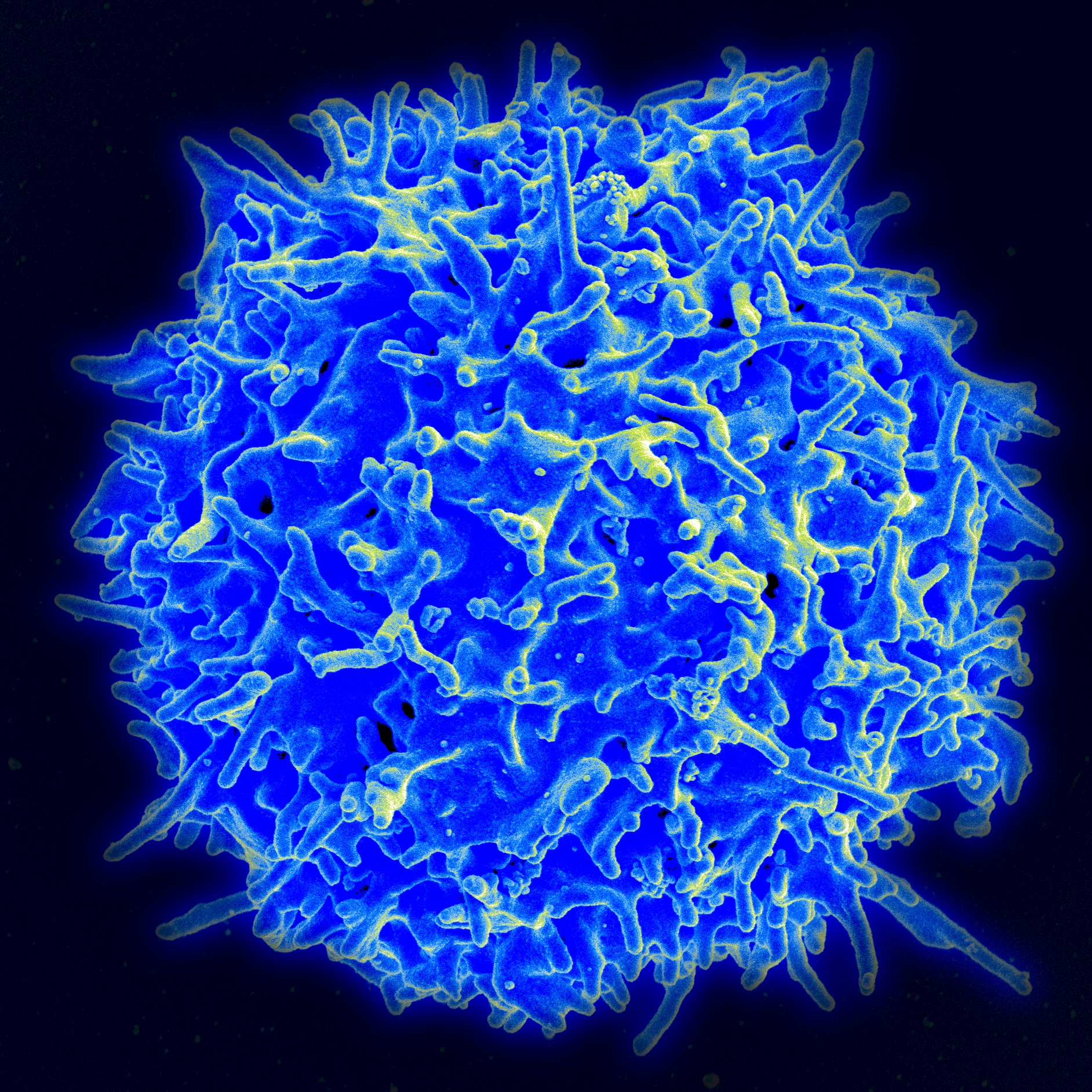 Cancer care in the time of COVID-19