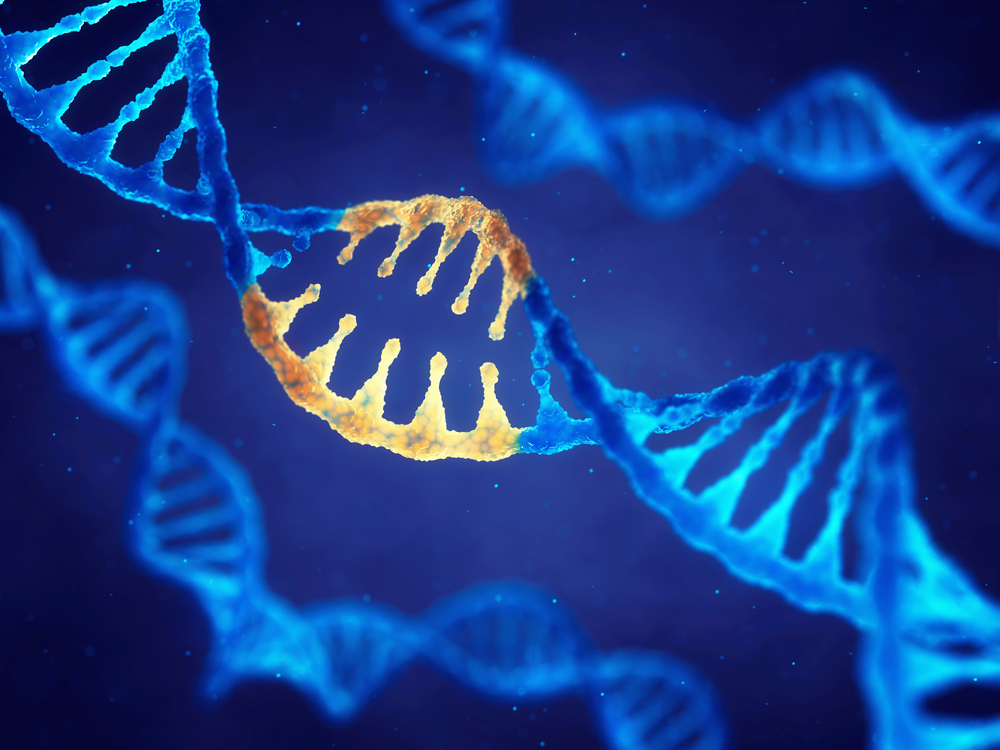 Tiny mineral particles are better vehicles for promising gene therapy
