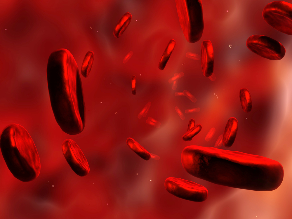 Neurofilament Light Chain Levels in Blood Plasma as a Biomarker of Aging