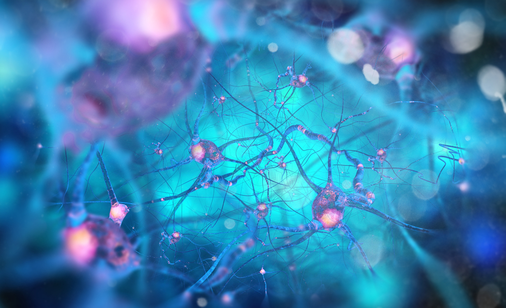 Alzheimer’s disease drugs promote neurogenesis.