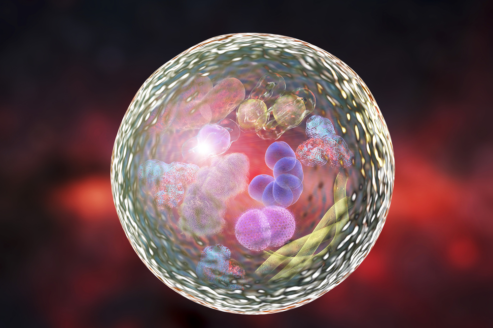 UK cancer research could see £167 million drop in funding as a result of charity income loss