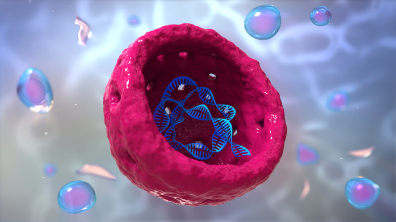 Genomic instability, aging, and cellular senescence.