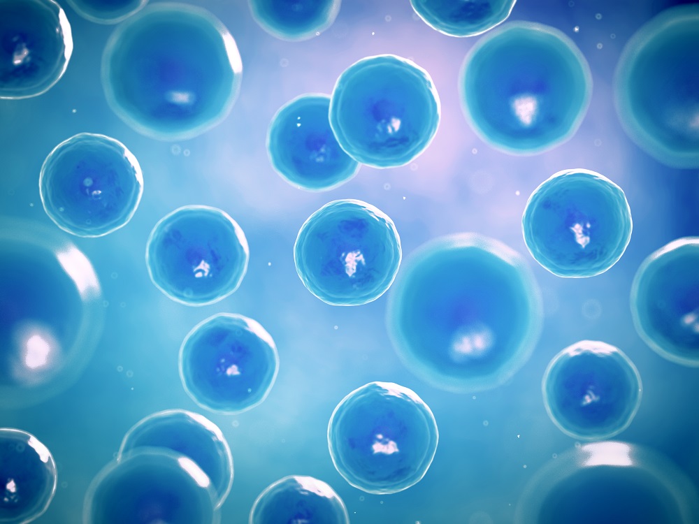 Mesenchymal Stem Cell Therapy as a Treatment for Skin Aging
