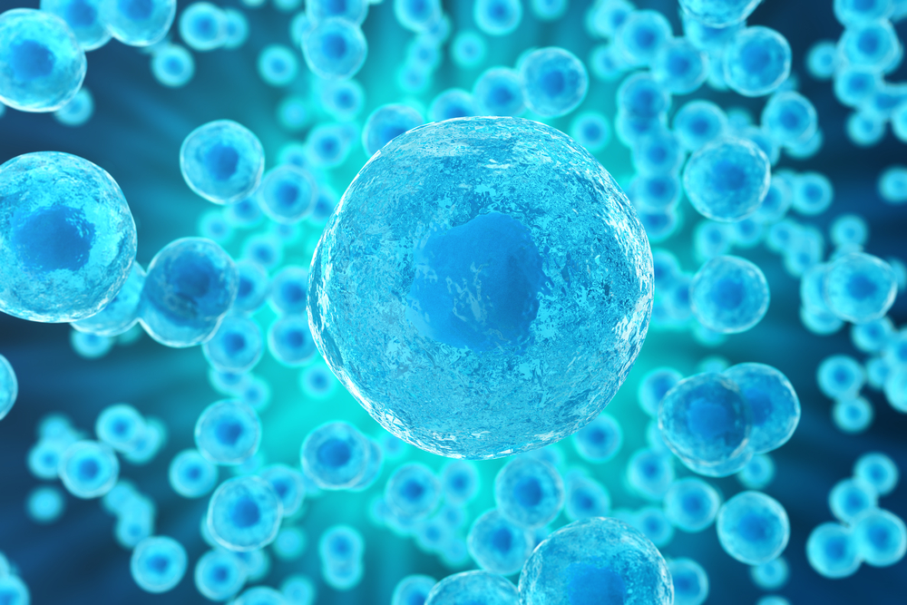 NCI grant enables exploration of cancer-fighting compound isolated from Moroccan fungus