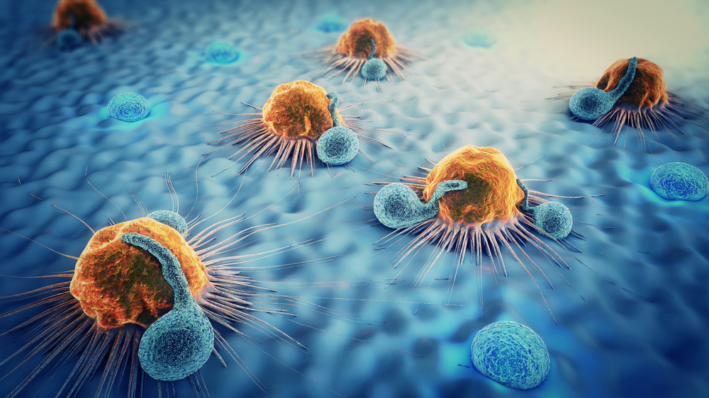 Targeting the Mitochondrial Permeability Transition Pore to Restore Mitochondrial Function in Aging
