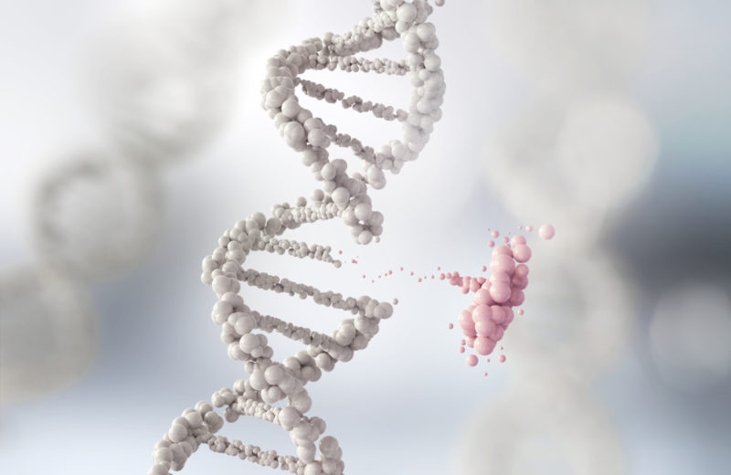 Alzheimer’s disease drugs promote neurogenesis.