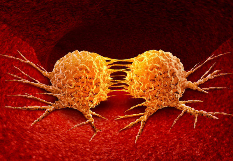 More Data on the Tissue Specificity of Senescent Cell Accumulation with Age in Mice