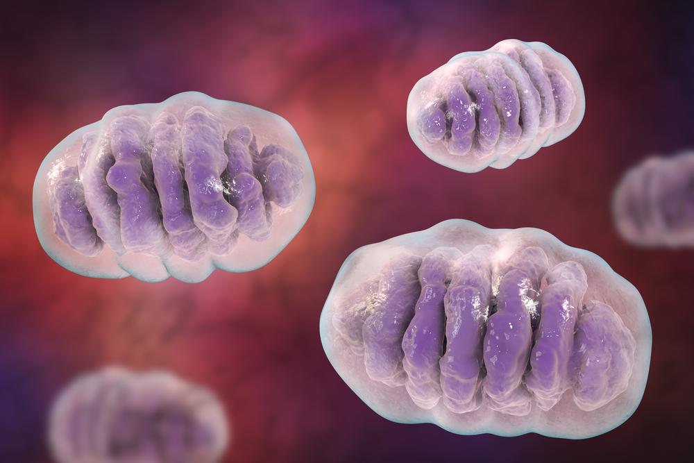 Cancer: a new killer lymphocyte enters the ring