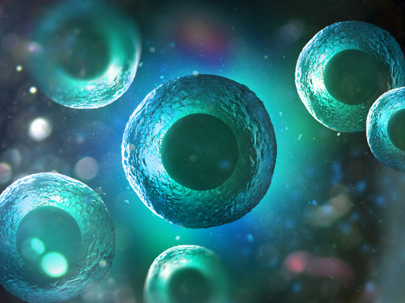 OncoSenX Raises $3 Million to Adapt the Oisin Biotechnologies Platform to Cancer
