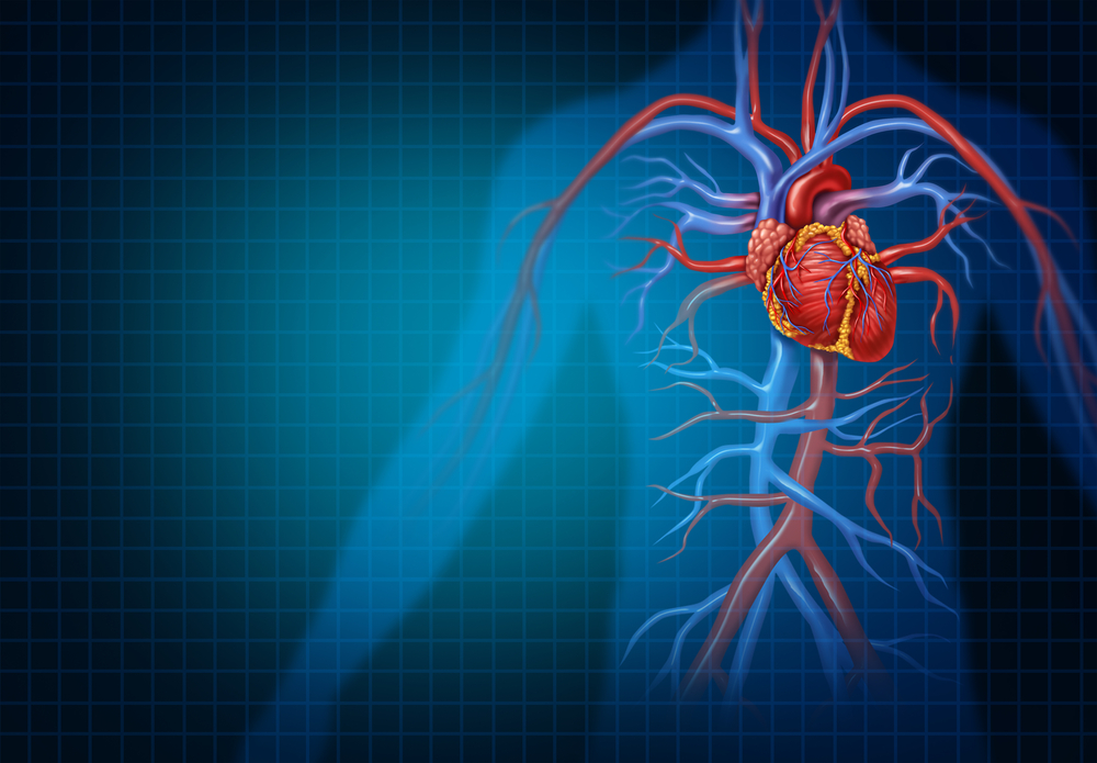 A Discussion of Targeting the Mechanisms of Cardiovascular Aging