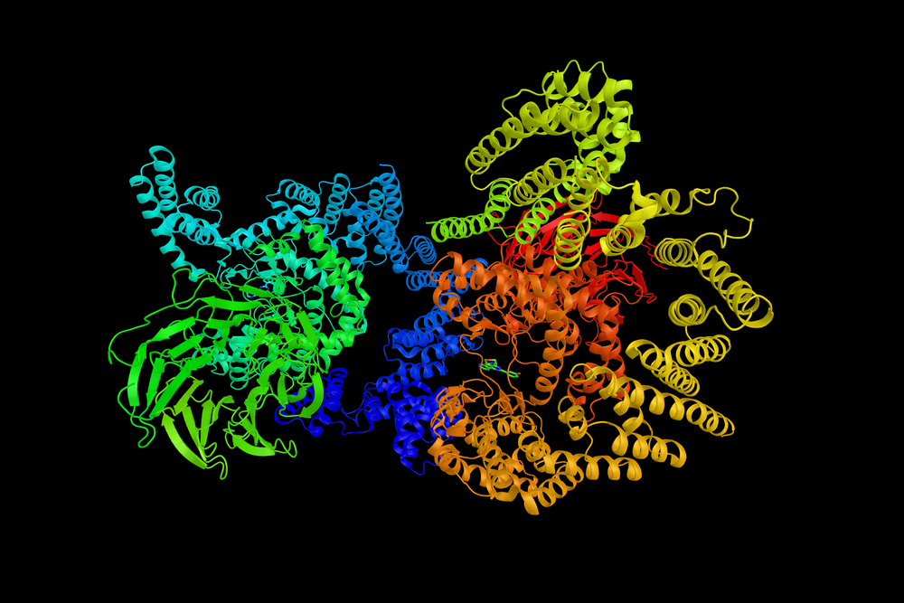 New vulnerability found in lung squamous cancer may facilitate drug targeting