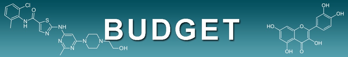 MMTP_Project1_Budget_Header