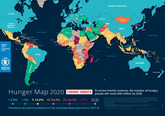 世界饥饿地图2020