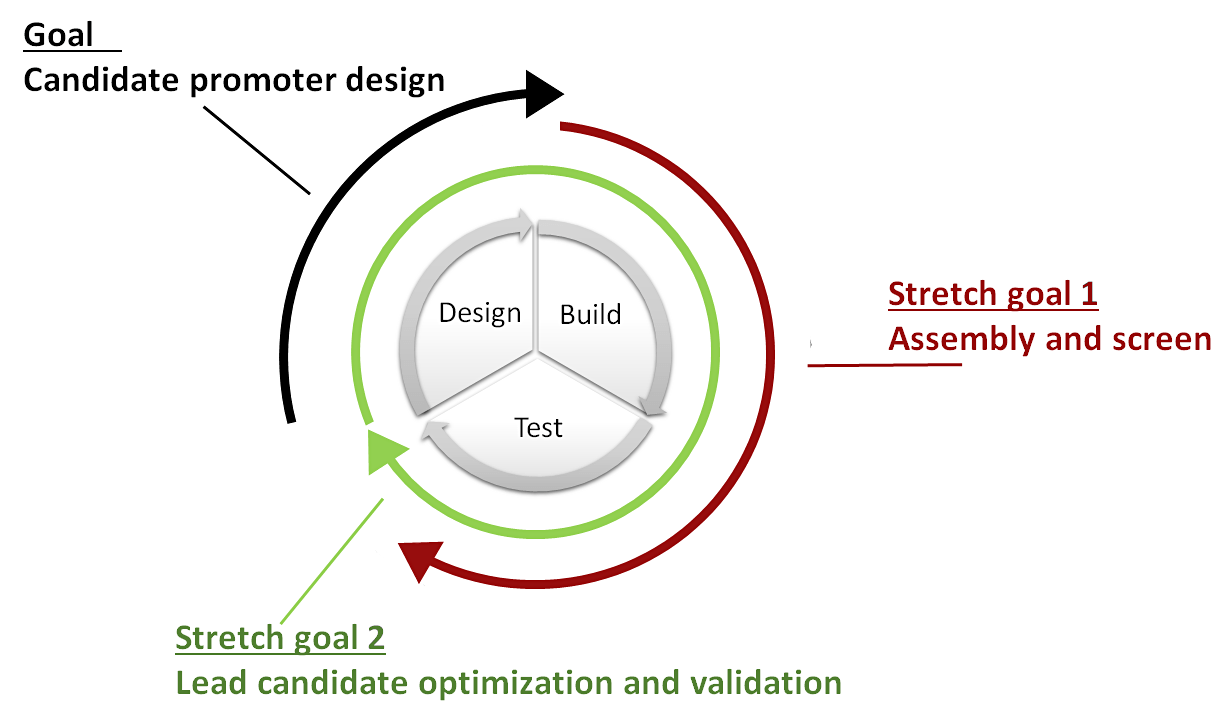 cellagecampaignsteps