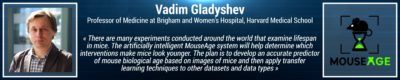 Vadim Gladyshev supports MouseAge.