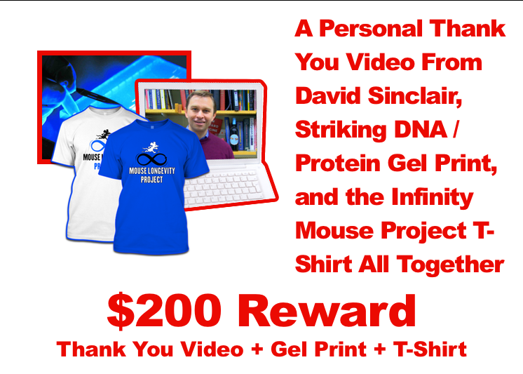 DavidNMNReward_ThankYouPrintAndTShirt.png