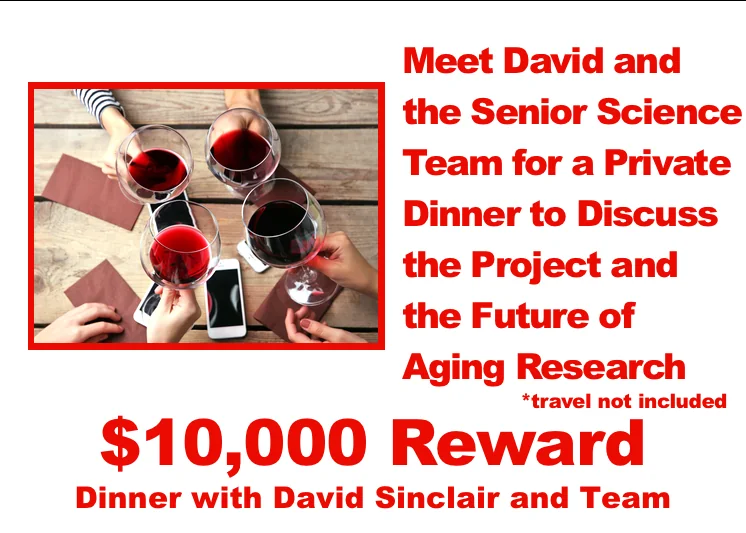 DavidNMNReward_DinnerWithDavidAndTeam