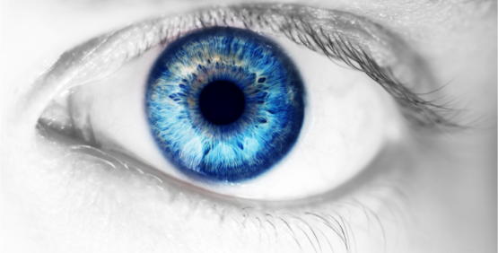 Eye