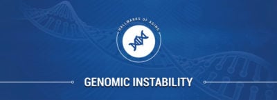 Genomic Instability