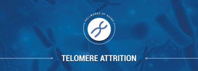 Telomere Attrition