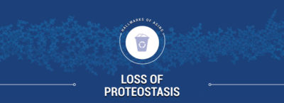 Loss of Proteostasis