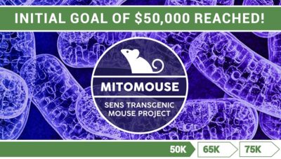 50K MitoMouse