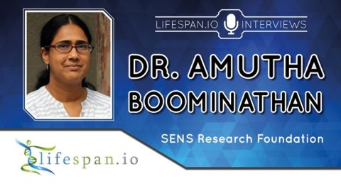 Amutha Boominathan Interview