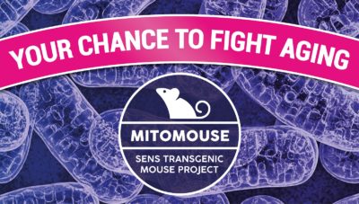 Mitomouse