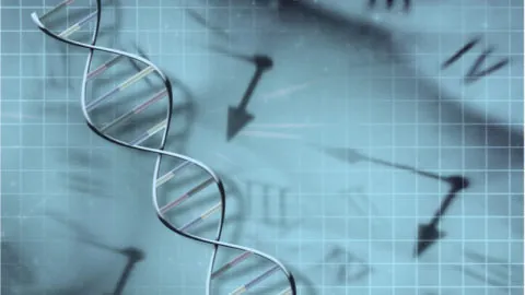 DNA clock