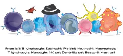 Immune Cells