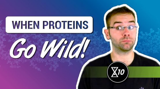 X10 When Proteins Go Wild