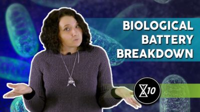 X10 biological battery breakdown