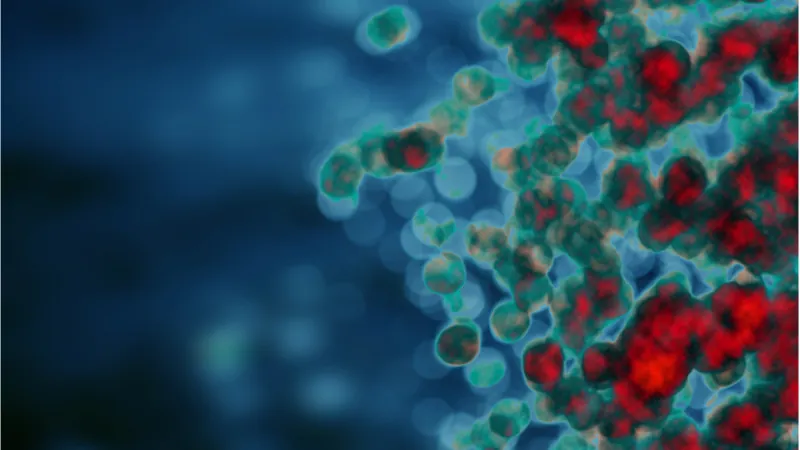 White blood cells