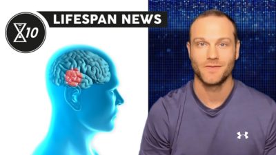 Lifespan News on Parkinson's in Mice