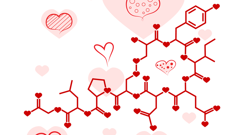 Oxytocin in hearts
