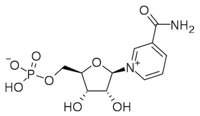 NMN is short for nicotinamide mononucleotide, a naturally occurring molecule present in all species. On the molecular level, it is a ribonucleotide, a basic structural unit of nucleic acid RNA.