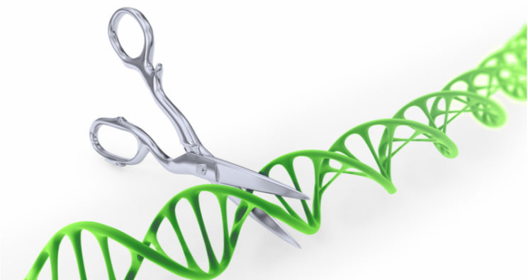 What is CRISPR? A Summary of Gene Editing