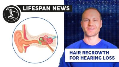 Lifespan News on hearing loss