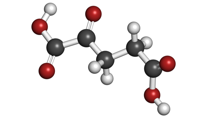 A picture of the Alpha-ketoglutarate molecule