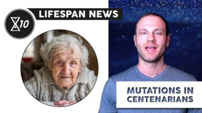 Lifespan news September 15 2020 thumbnail