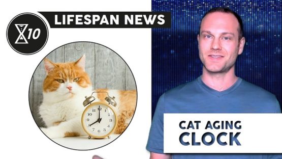 Lifespan News on cat aging clocks