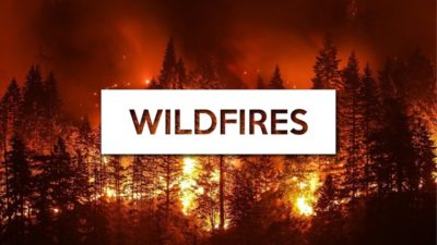 Wildfires thumbnail