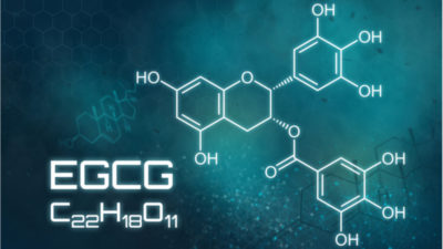 EGCG chemical