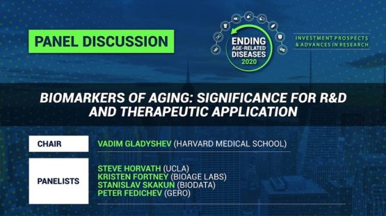Biomarkers of Aging at Ending Age-Related Diseases 2020