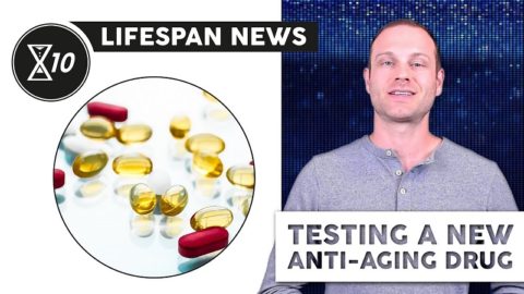 Lifespan News on Anti-Aging Drugs