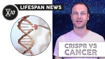 Lifespan News on CRISPR vs cancer