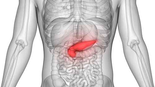 The pancreas is a small organ located in the abdomen.
