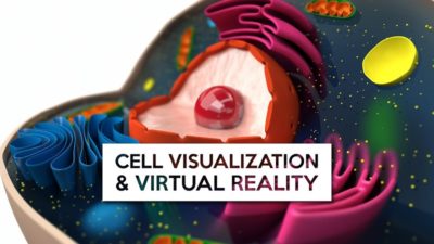 Science to Save the World on cell visualization